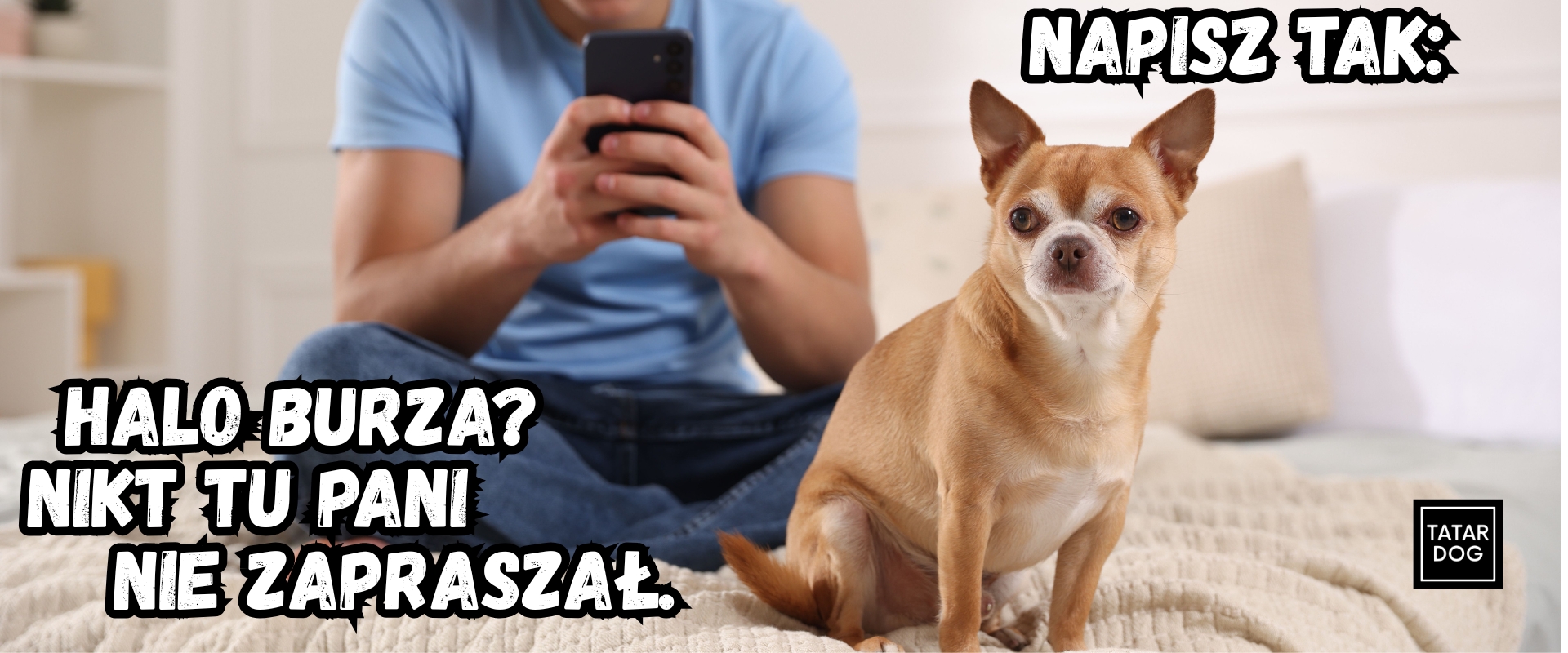 dlaczego psy się boją burzy